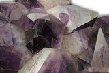 Deep Purple Amethyst Crystal Cluster With Huge Crystals #250740-2